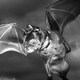 Illustration for article titled Heres the winner of our fake monster contest!